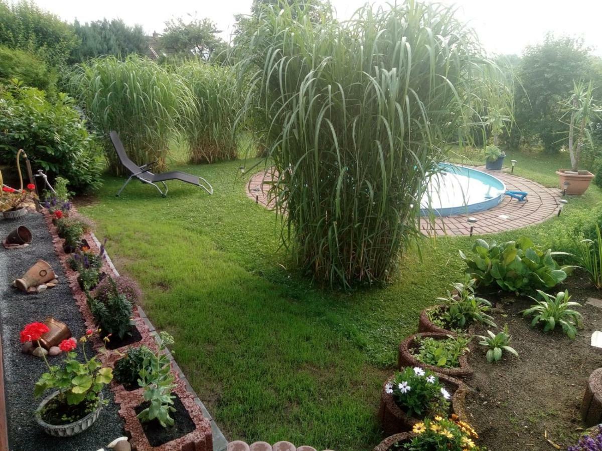 Ferienwohnung Blick Ins Land Goslar Bagian luar foto